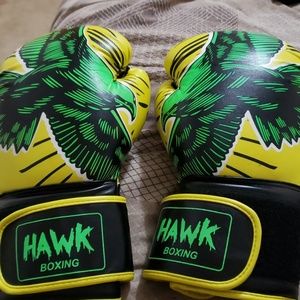 Hawk 16oz Boxing Gloves